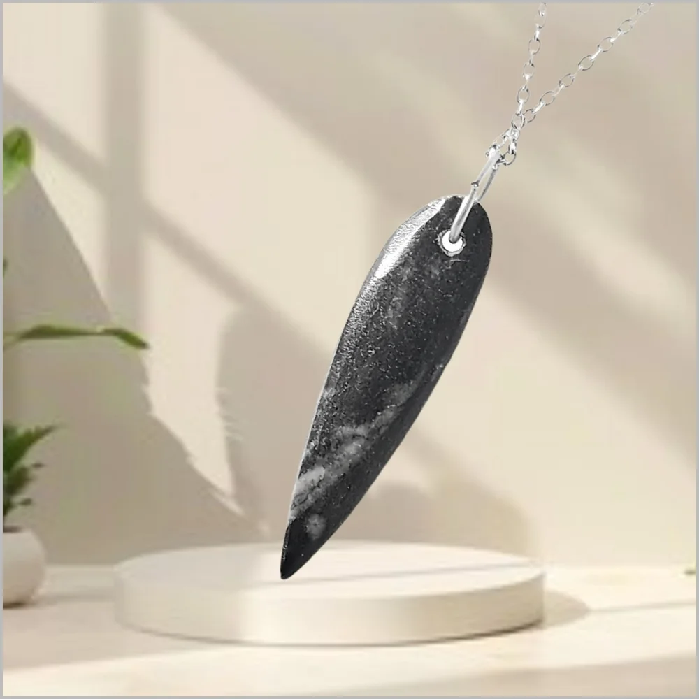 Genuine Orthoceras Fossil Pendant with Stainless Steel Necklace